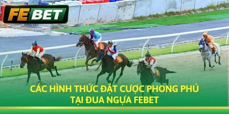 Các hình thức đặt cược phong phú tại Đua Ngựa FEBET