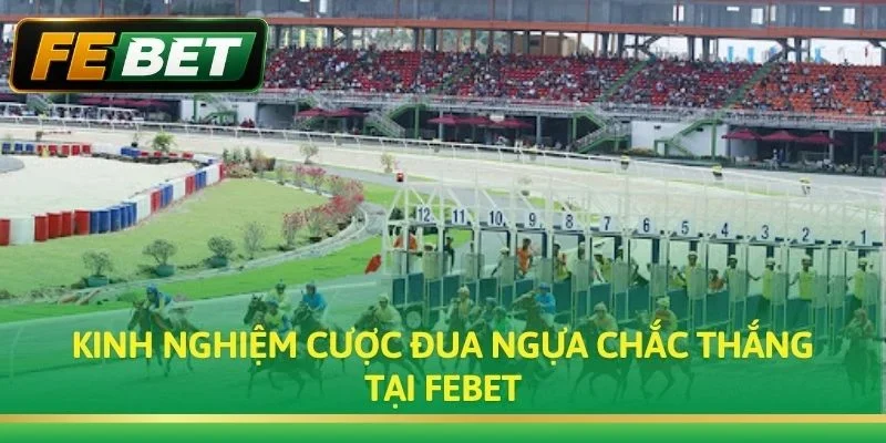 Kinh nghiệm cược Đua Ngựa chắc thắng tại Febet