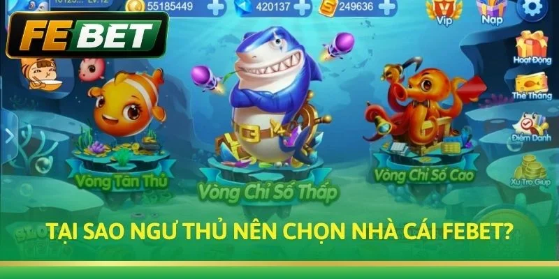 Tại sao ngư thủ nên chọn nhà cái Febet?